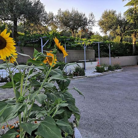 Rosemarin Apartment Koper Bagian luar foto