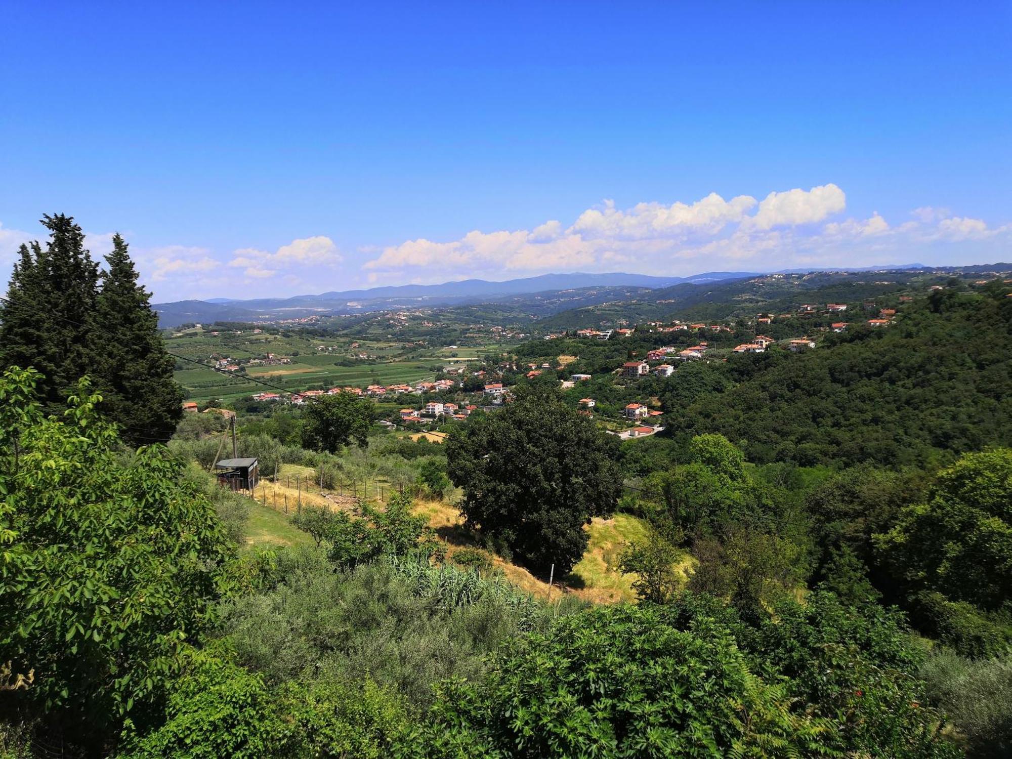 Rosemarin Apartment Koper Bagian luar foto