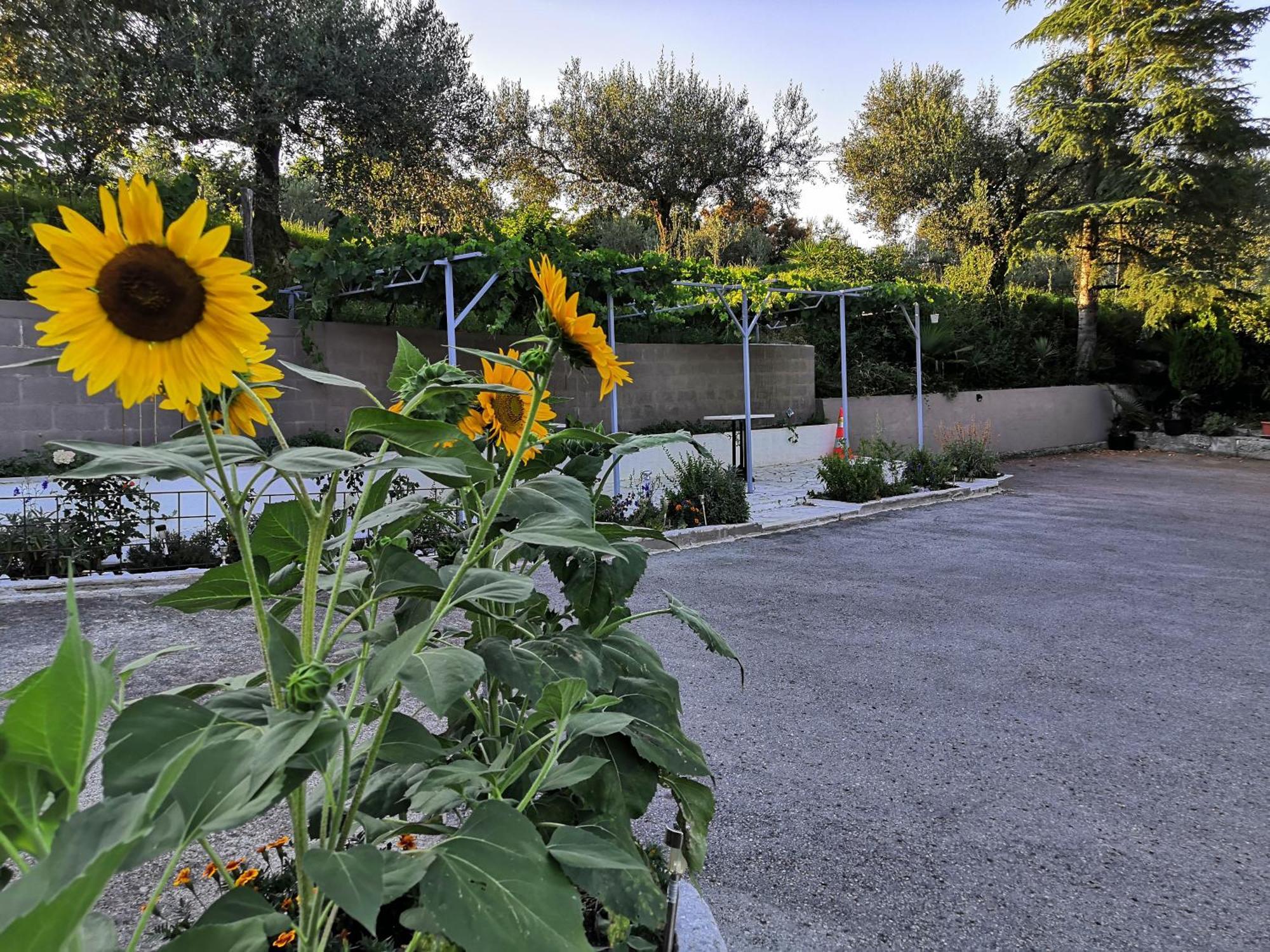 Rosemarin Apartment Koper Bagian luar foto